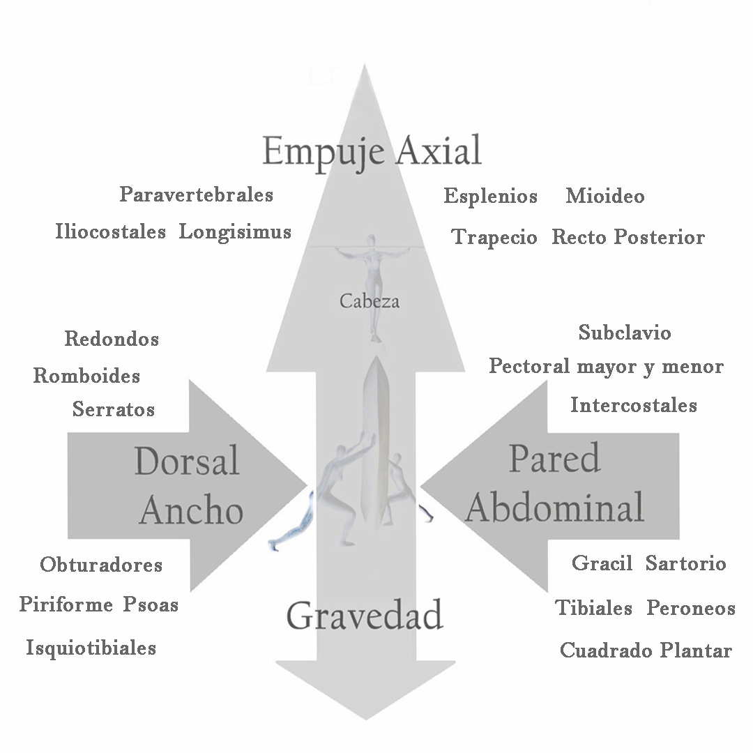 PLANTILLA FOTO WEB 13