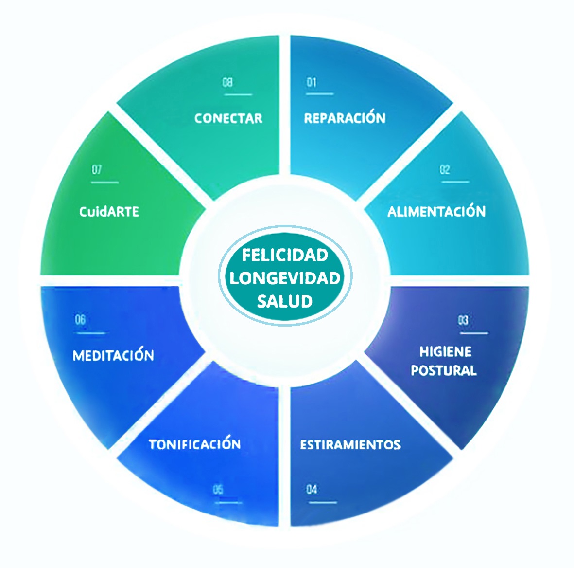 Gráfico 8 pasos 2retocado