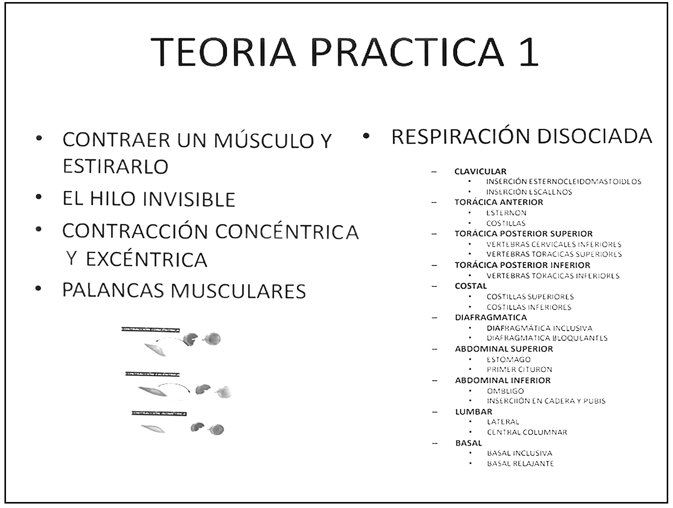 T1eoría Practica