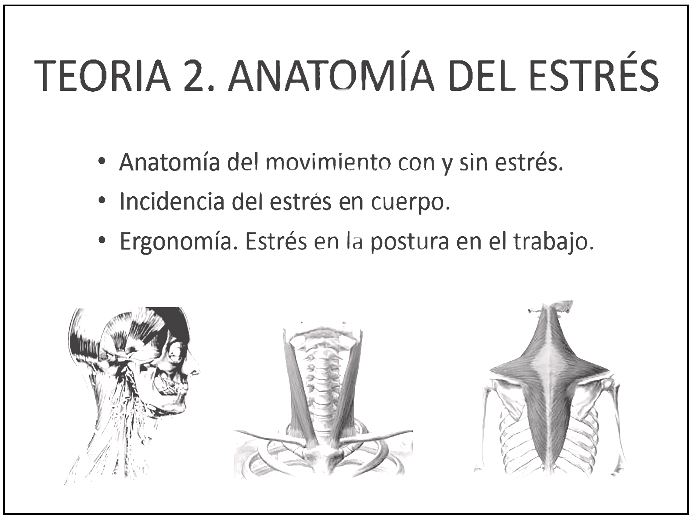 Teoría Anatomía del Estrés