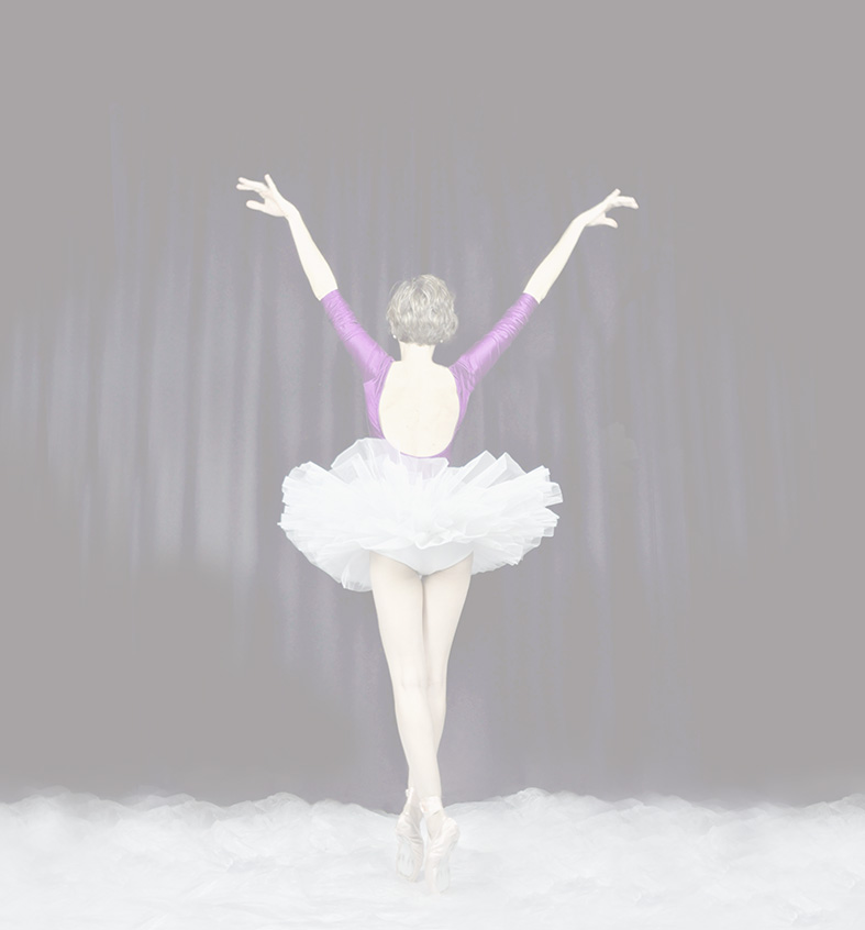 DSCasdffdddd0448 copia copiab