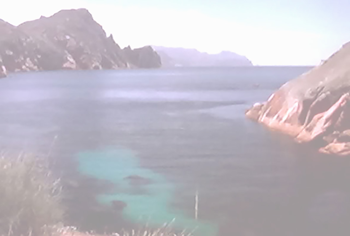 Movil Enero 12 280 copia